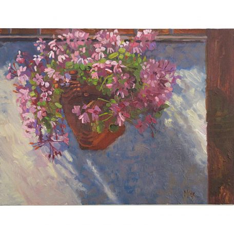C2657 Geranium Shadow - Neville Cox