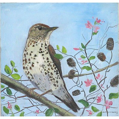 C2886 Song Thrush in the Garden - Caroline McMillan