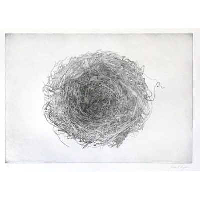 C3159 Nest 3/12 - John Douglas Piper