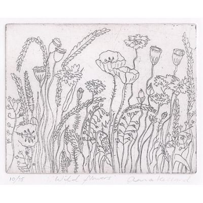 C2990 Wild Flowers 11/75 - Anna Kellard