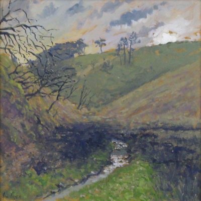 C1744 Stream by the Moor - Ian Cryer