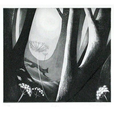 C2325 Foxfire 79/100 - Flora McLachlan