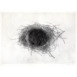 C3185 Nest 1/12 – John Douglas Piper