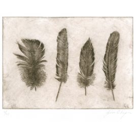 C3180 Four Found Feathers 8/20 – John Douglas Piper