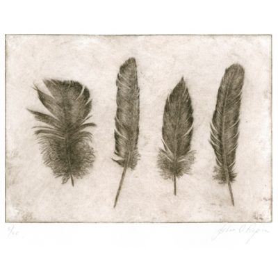 C3180 Four Found Feathers 8/20 - John Douglas Piper