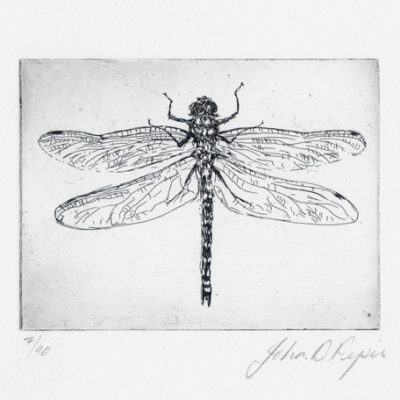 C3146 Dragonfly 7/90 - John Douglas Piper