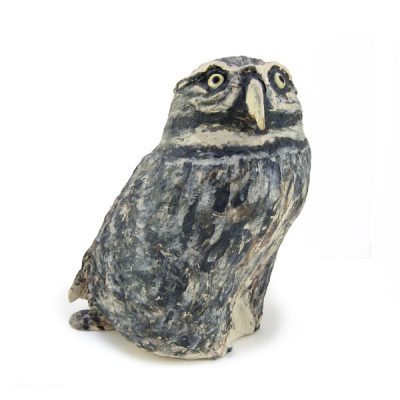 C3516 Little Owl - Jos Holloway