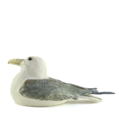 C2164 Kittiwake - Jos Holloway