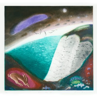 C3344 Over the Sea - Flora McLachlan