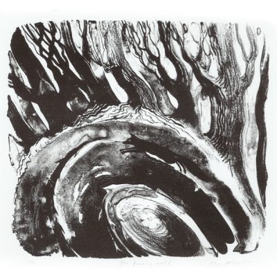 C2055 The Turning World - Flora McLachlan