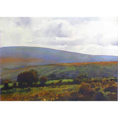 C1555 Distant Road Across the Moor - Richard Thorn