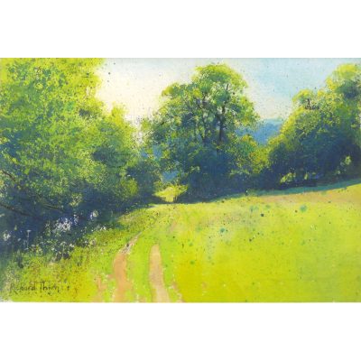 C1552 Summer Haze - Richard Thorn