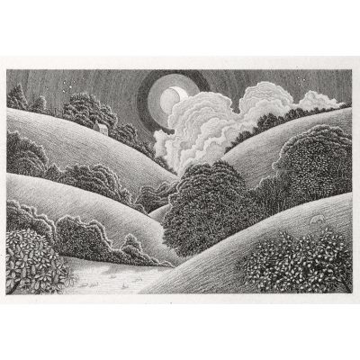 C3838 Camel Valley - Cornwall 11/90 - Brian Hanscomb