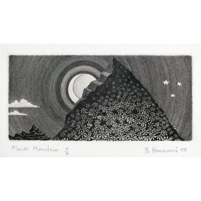 0491C Flower Mountain 16/95 - Brian Hanscomb