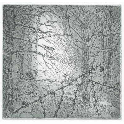 C4908 Nightjar 36/150 - Flora McLachlan