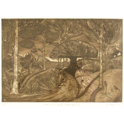 C4160 Man on a Laptop (Early Morning) 5/30 - Kit Boyd