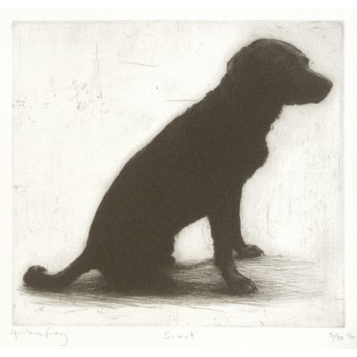 C3704 Scout - Helen Fay