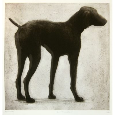 C4311 Pierro Buenos Aires - Helen Fay