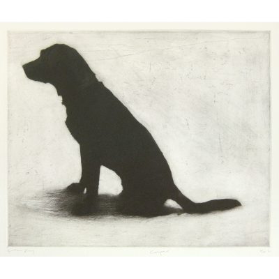 C4074 Casper - Helen Fay