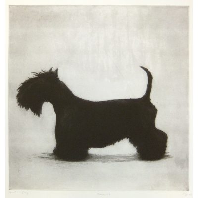 C4315 Hamish - Helen Fay