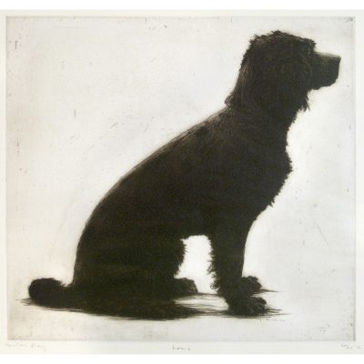 C2881 Louis - Helen Fay