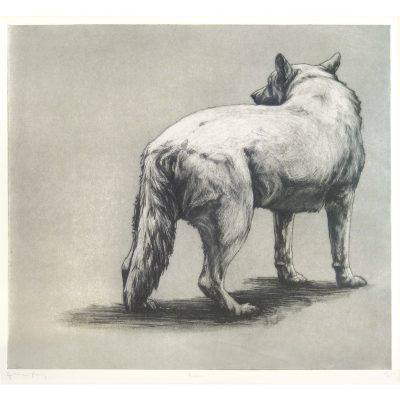 C3497 Rocco - Helen Fay