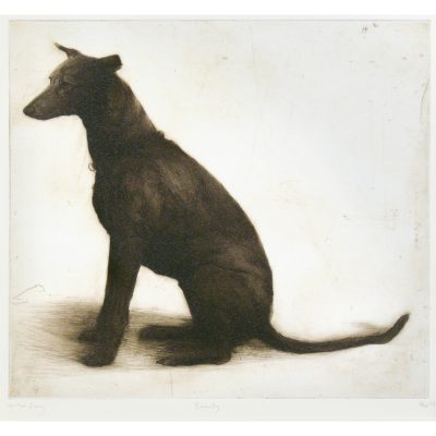 C3701 Beauty - Helen Fay