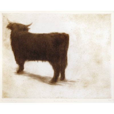 C2864 Behind the Kine - Helen Fay