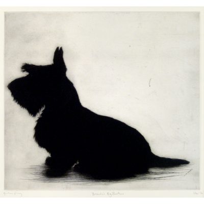 C3702 Brontë's Big Brother - Helen Fay