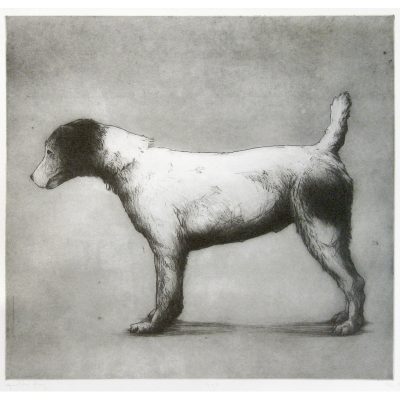 C2851 Gus - Helen Fay