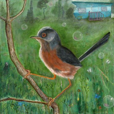 DH05 Fragile Existence