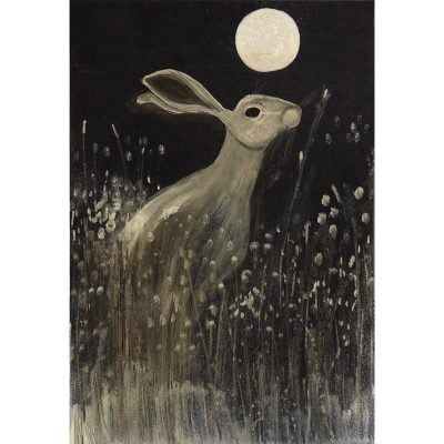 DH02 Night-time Hare