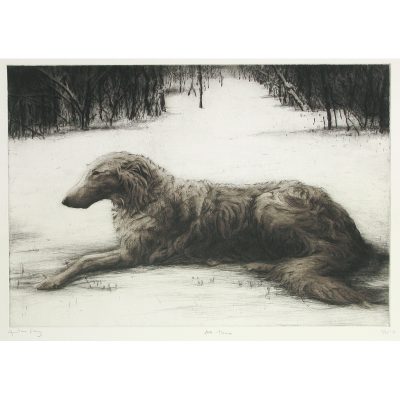 C4669 At Home - Helen Fay