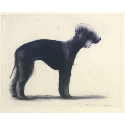 C4678 George the Bedlington - Helen Fay