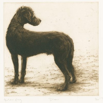 C4679 Dixon - Helen Fay