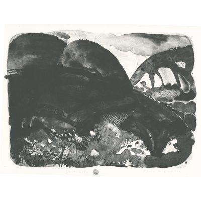 C4897 Dark Hills 10/20 - Flora McLachlan