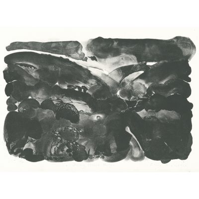 C4898 Driving Through Wales 8/20 - Flora McLachlan