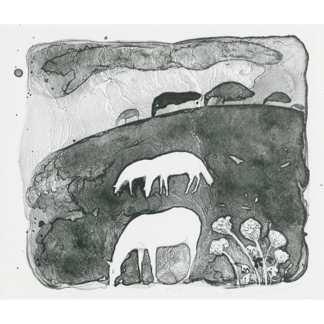 C4901 Fields Above the Sea 12/20 - Flora McLachlan