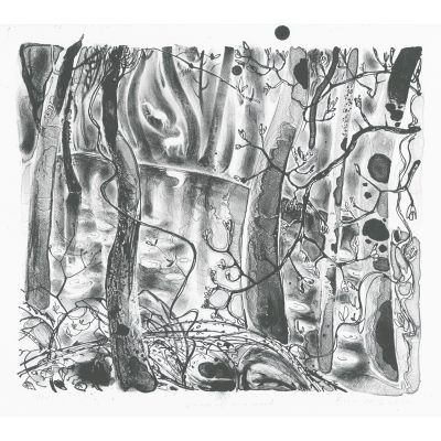 C4902 Unicorns in a Wood 11/20 - Flora McLachlan