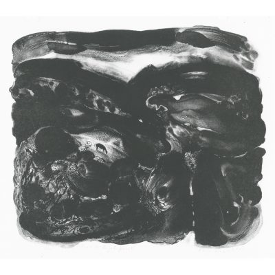 C4903 Road to Brynhoffnant 11/20 - Flora McLachlan