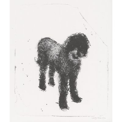 0361C Buttercup 8/20 - Sally Muir