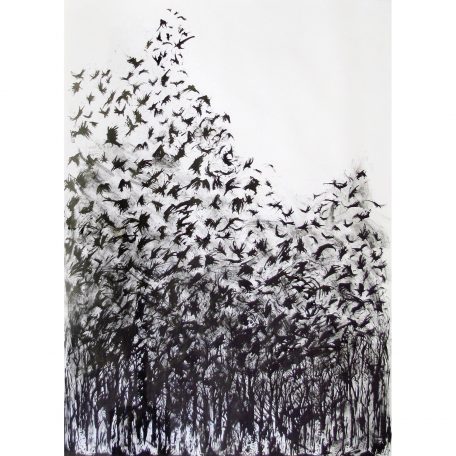 C5090 Crows - Sally Muir