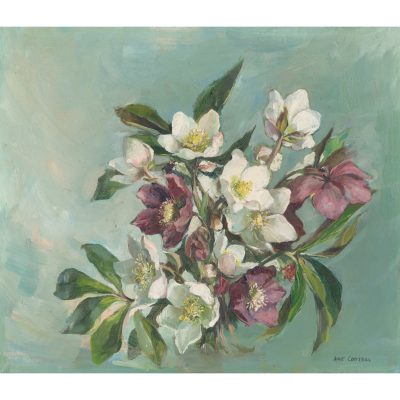 C5096 Hellebores - Anne Cotteril