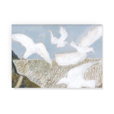 Hurlstone Point Seagulls by Ann Farley Greetings Card (AFC04)