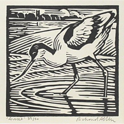 C5296 Avocet 39/50 - Richard Allen
