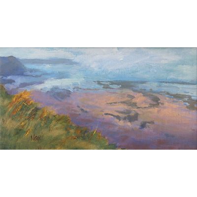 C597 Sea Mist and Sunlight - Neville Cox