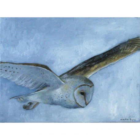 C5320 Barn Owl in Flight - Caroline McMillan Davey
