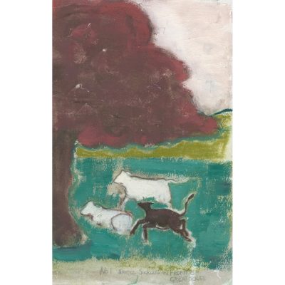 C5333 Calves at Fairfield - Ann Farley