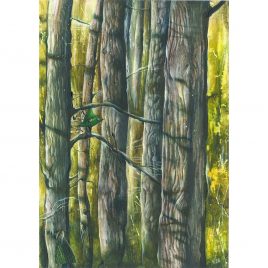 C5388 Sunlit Pines – Rebecca Bromley