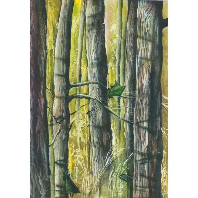 C5389 Pines in the Sunlight - Rebecca Bromley